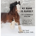 My Name is Ramsey: I'm a Clydesdale Stallion