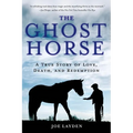 Ghost Horse