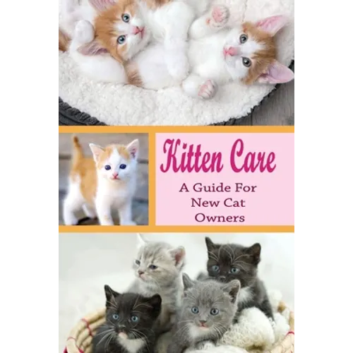 Kitten Care: A Guide for New Cat Owners: How Do You Take Care Of A Kitten For Beginners?