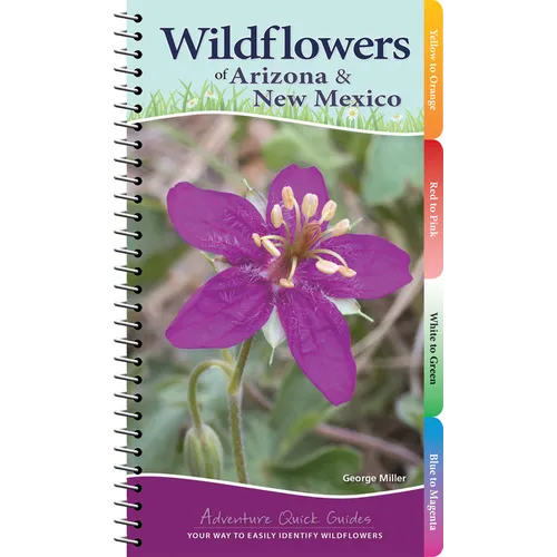 Wildflowers of Arizona & New Mexico: Your Way to Easily Identify Wildflowers