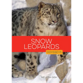 Snow Leopards