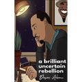 A brilliant uncertain rebellion