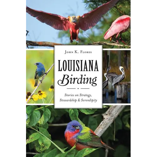 Louisiana Birding: Stories on Strategy, Stewardship & Serendipity