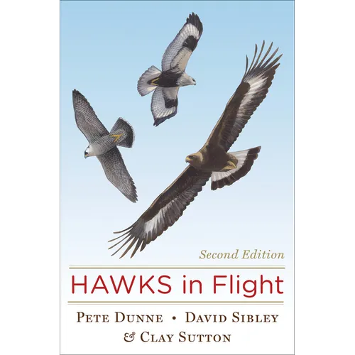 Hawks in Flight