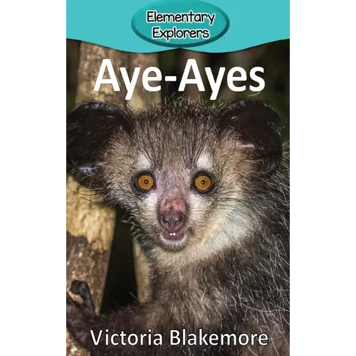 Aye-Ayes
