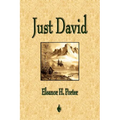 Just David