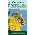 Common Native Bees of the Eastern United States: Your Way to Easily Identify Bees and Look-Alikes