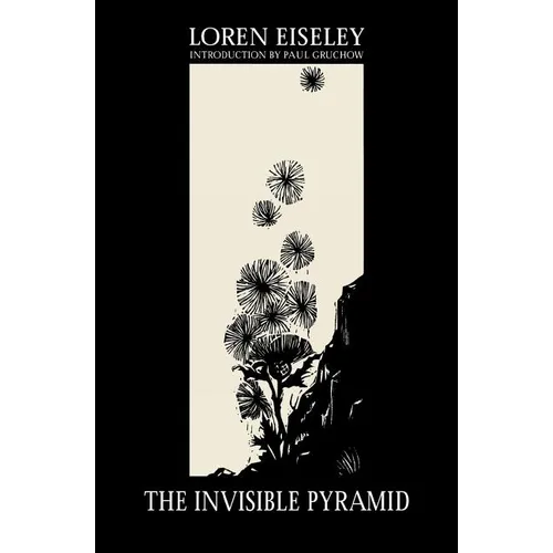 The Invisible Pyramid