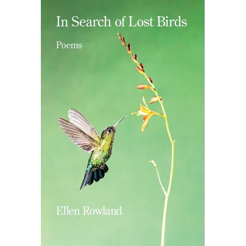 In Search of Lost Birds