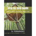 How to Build a Beautiful Tree House
