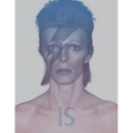 David Bowie Is: Inside the Visionary World of David Bowie