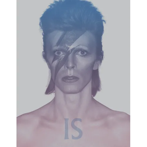 David Bowie Is: Inside the Visionary World of David Bowie