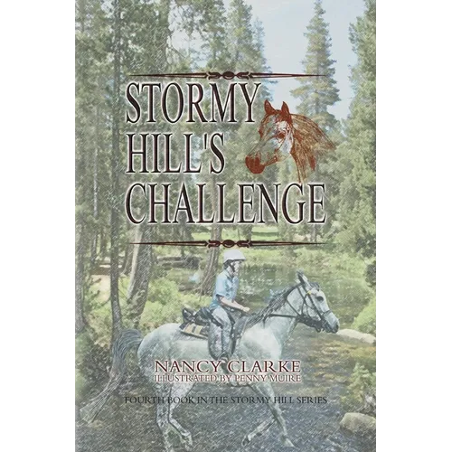 Stormy Hill's Challenge: Fourth Book in the Stormy Hill Series