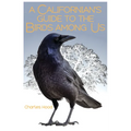 A Californian's Guide to the Birds Among Us