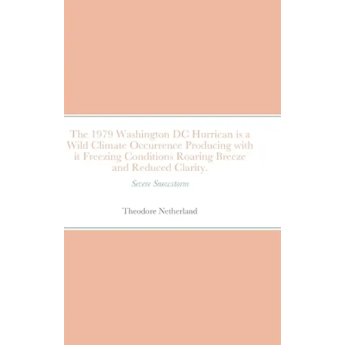 The 1979 Washington DC Hurrican is a Wild Climate Occurrence Producing with it Freezing Conditions Roaring Breeze and Reduced Clarity.: Severe Snowsto