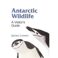 Antarctic Wildlife: A Visitor's Guide