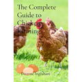 The Complete Guide to Chicken Farming: From Egg to Table