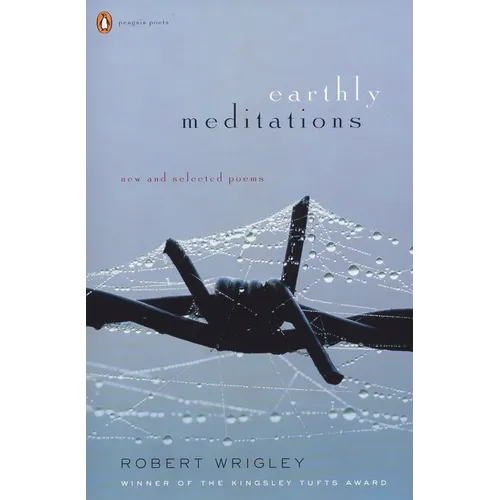 Earthly Meditations: New and Selected Poems