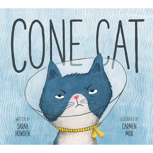 Cone Cat