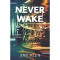 Neverwake