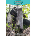 Anteaters