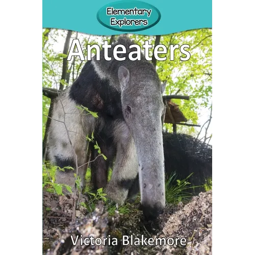 Anteaters