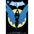 Batman Vol. 1: Daylight
