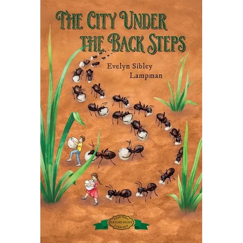 The City Under the Back Steps