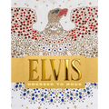 Elvis Dressed to Rock