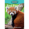 Red Pandas