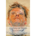 History or Sleep - Selected Poems