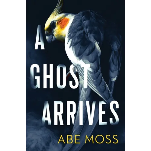 A Ghost Arrives