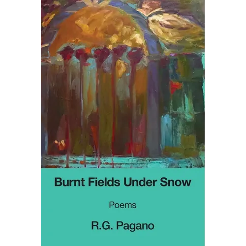 Burnt Fields Under Snow