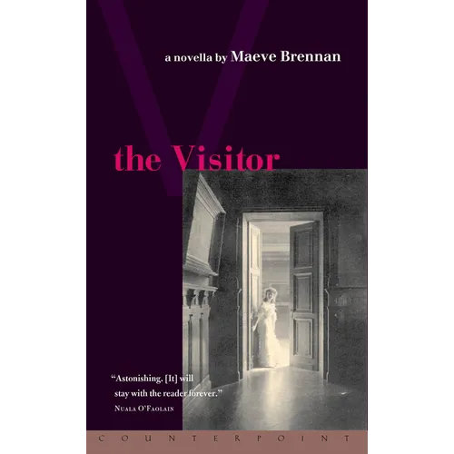 The Visitor