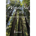 Too Wonderful for Me: Embracing the Awe of the Almighty
