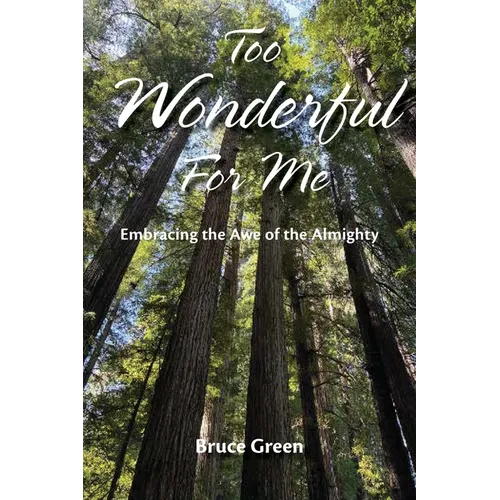 Too Wonderful for Me: Embracing the Awe of the Almighty