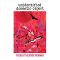 unidentified domestic object