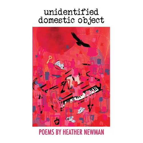 unidentified domestic object