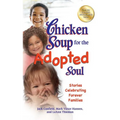 Chicken Soup for the Adopted Soul: Stories Celebrating Forever Families