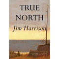 True North