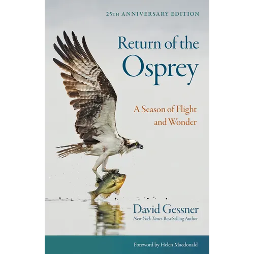 Return of the Osprey: A Season of Flight and Wonder