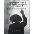 Bernardo Kastrup und das Bewusstsein als Urgrund