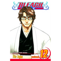 Bleach, Vol. 12: Flower on the Precipice