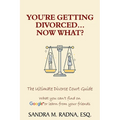 You're Getting Divorced...Now What?: The Ultimate Divorce Court Guide