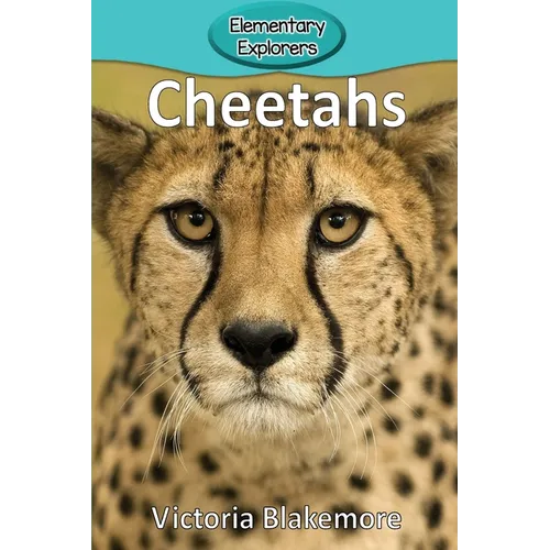Cheetahs