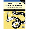 Practical Deep Learning, 2nd Edition: A Python-Based Introduction