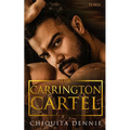 Torn: A Forbidden Age Gap Dark Mafia Romance