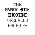 The Sandy Hook Shooting: The FBI Files: Unsealed Files on Adam Lanza & The Sandy Hook Shooting