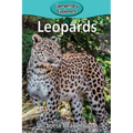 Leopards