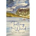 Testing the Wind